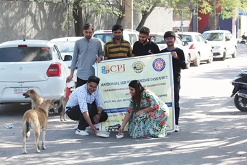 Paws & Plates – Street Dogs Feeding Campaign